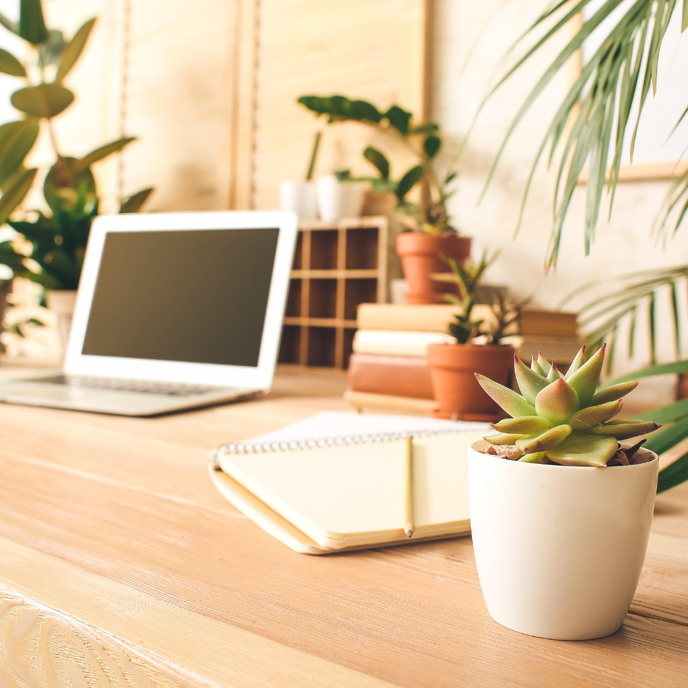 Nature's Touch: 25 Plant Decor Ideas for Your Home Office 🌿💻