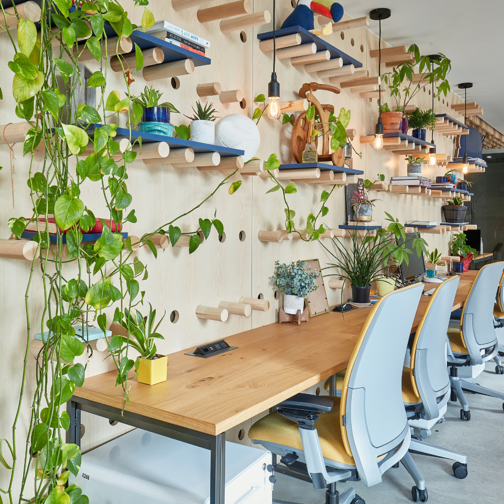 Shelf Love: 21 Creative Ways to Showcase Your Indoor Plants 🍃📚