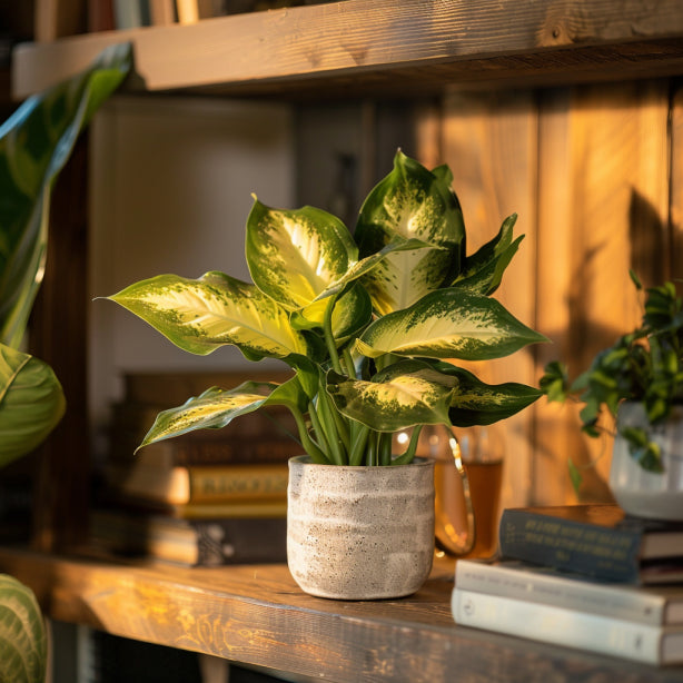 artificial monstera plant 48