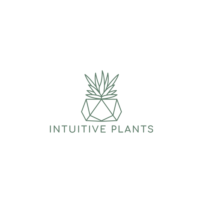 Intuitive Plants