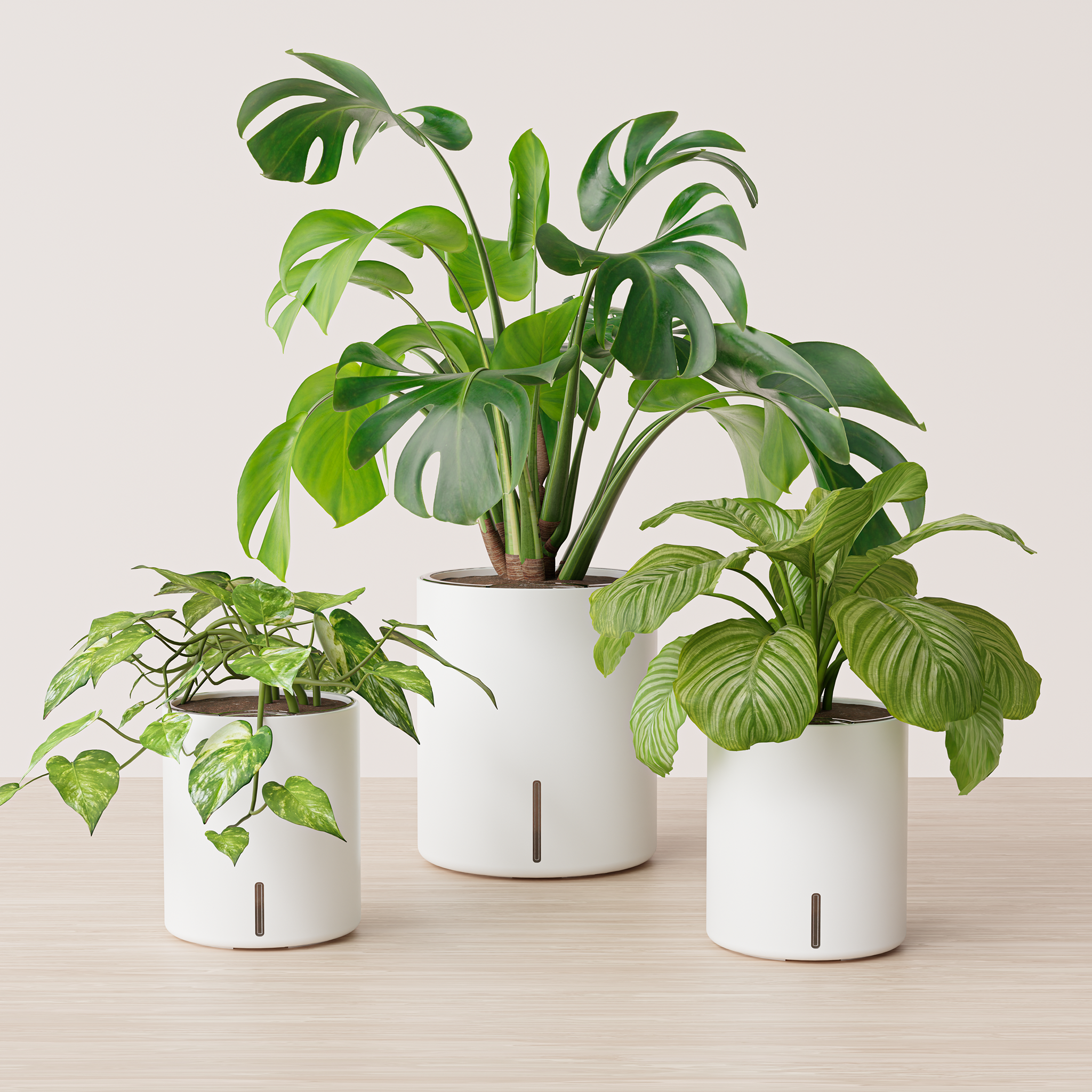 large self watering pots for plants Self-Watering Planter – Intuitive Plants