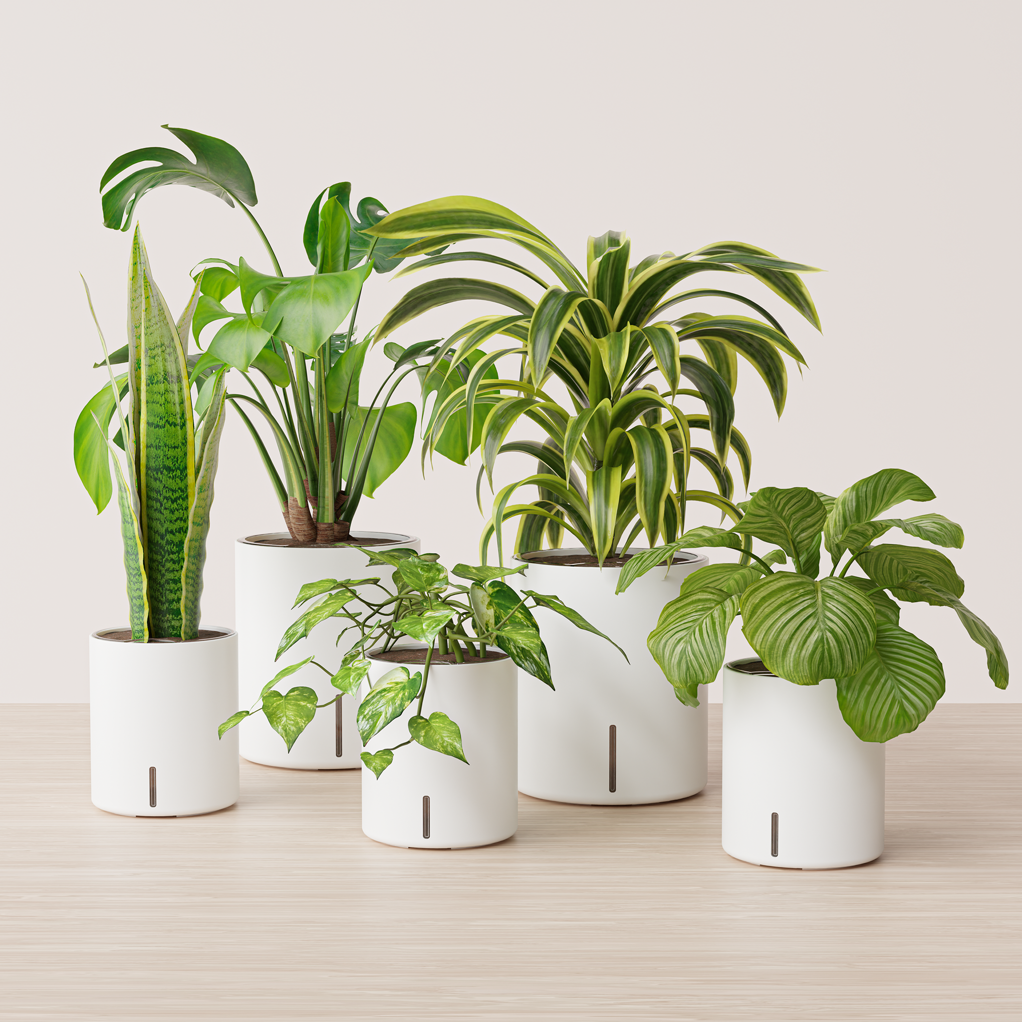 are self watering pots good for indoor plants Self-Watering Planter – Intuitive Plants