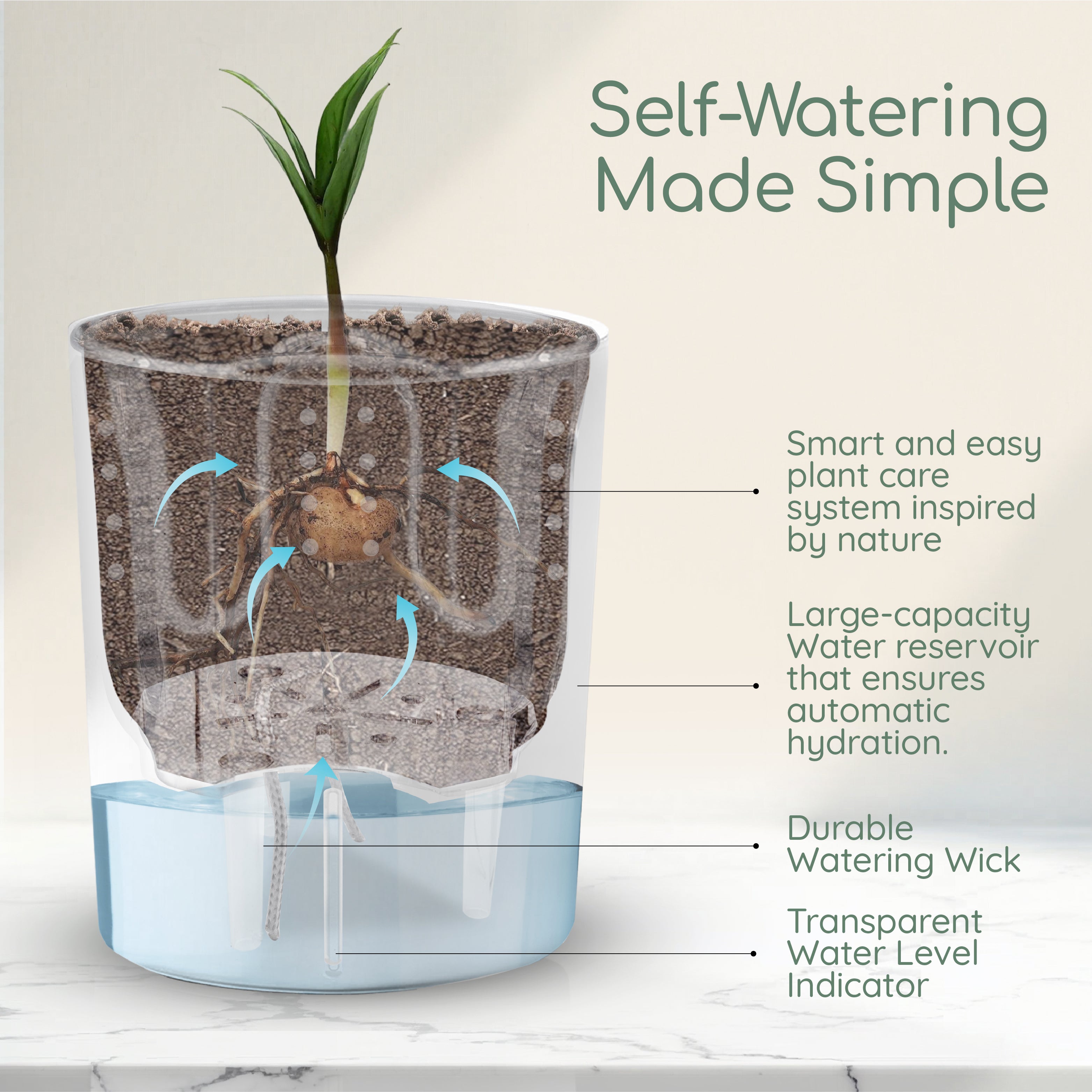 What is a Self Watering Plant Pot: Revolutionize Gardening